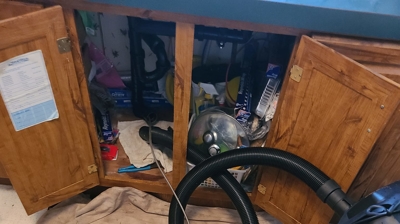 Sewer Shark At Work Photo