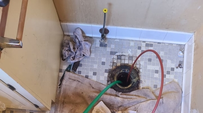 Sewer Shark At Work Photo