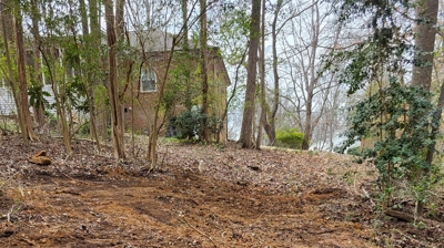 Sewer Shark At Work Photo