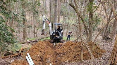 Sewer Shark At Work Photo